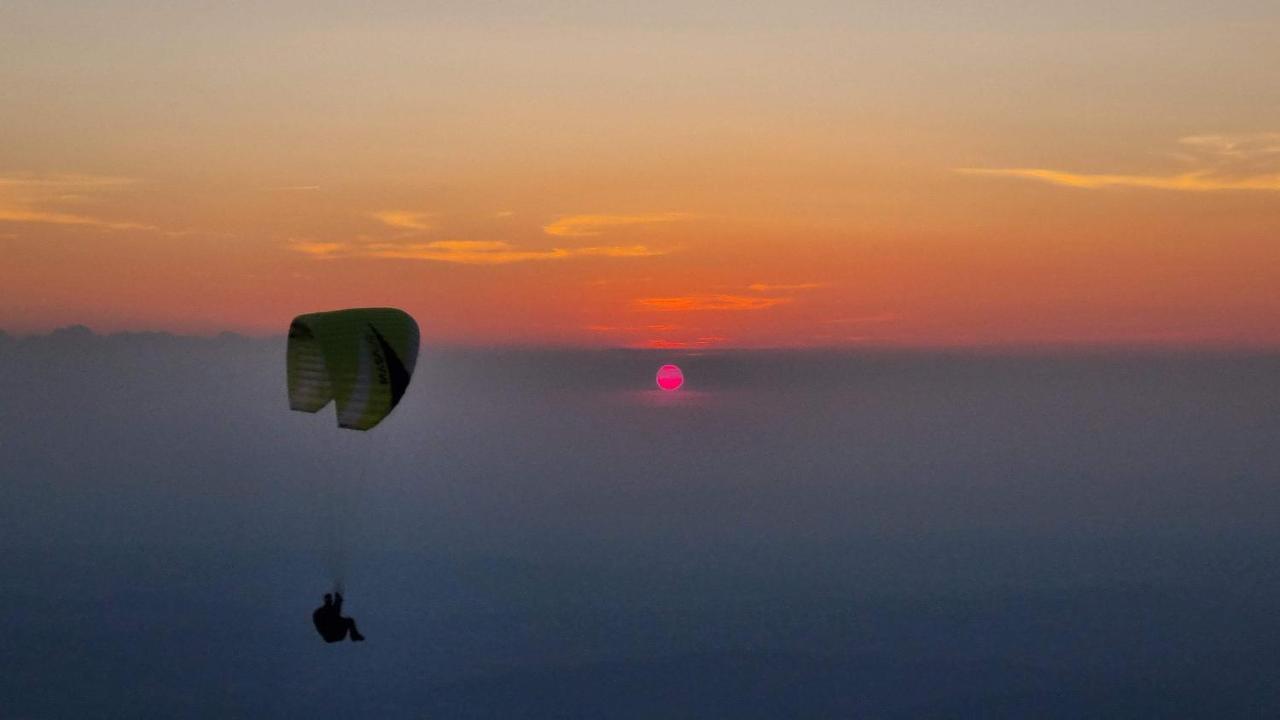 La Belle Histoire Gite Ventoux Bédoin Εξωτερικό φωτογραφία